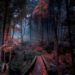 دانلود ریمیکس حس میکنم دریای حرفم معروف اینستاگرام